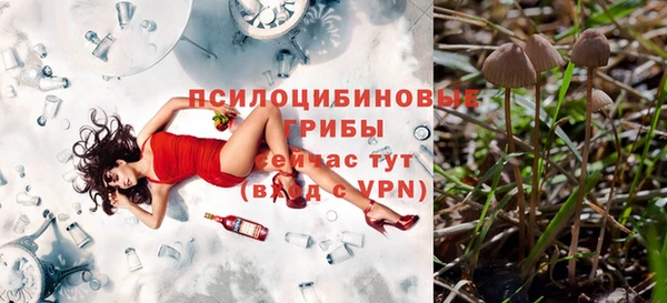 крисы Володарск
