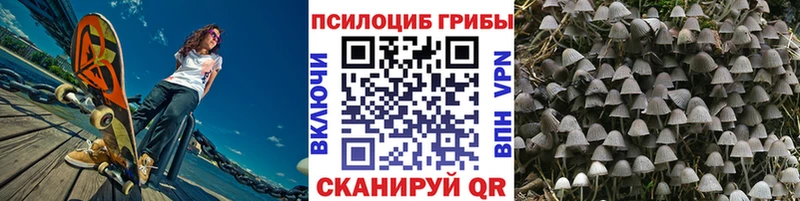наркота  Невьянск  Галлюциногенные грибы мухоморы 